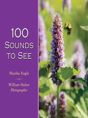 cover image of 100 Sounds to See